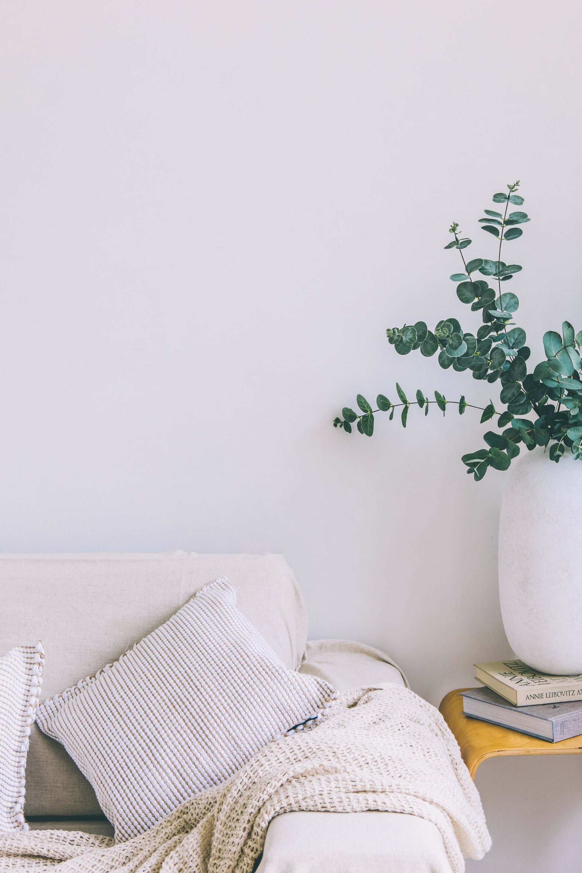 Organic modern cushion