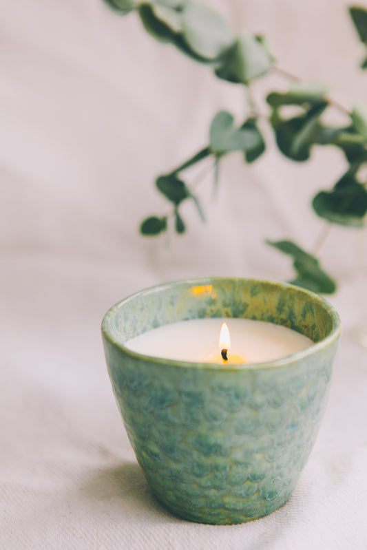 Taylor & Gray Bergamot and Patchouli candle in handcrafted ceramic cup, featuring natural wax blend, eco-friendly design, and a sustainable luxury aesthetic for home decor.